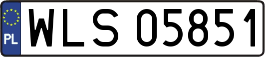 WLS05851