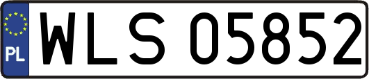 WLS05852
