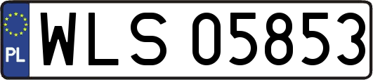 WLS05853