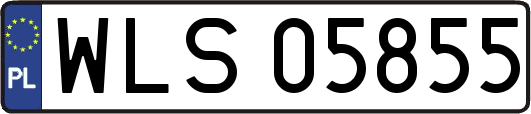 WLS05855