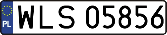 WLS05856