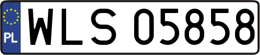WLS05858