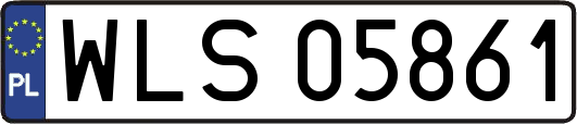 WLS05861