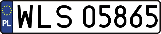 WLS05865