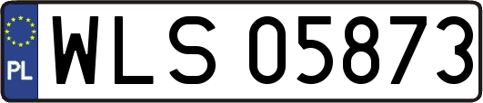 WLS05873