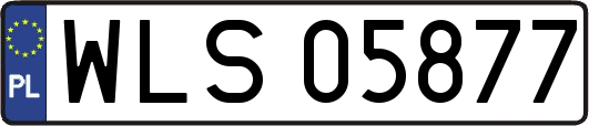 WLS05877