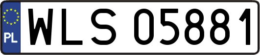 WLS05881
