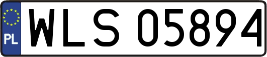 WLS05894