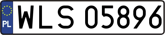 WLS05896