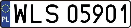 WLS05901