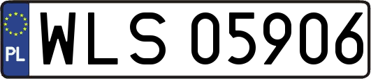 WLS05906