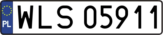 WLS05911