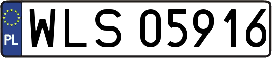 WLS05916
