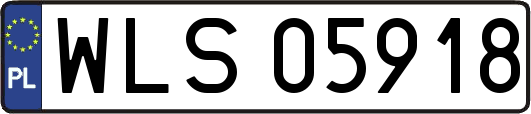 WLS05918