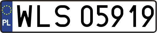 WLS05919