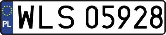 WLS05928