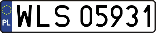 WLS05931
