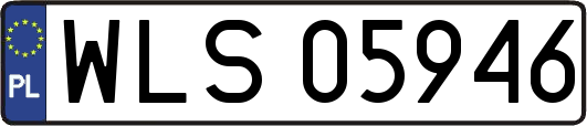 WLS05946
