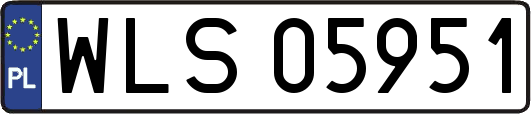 WLS05951