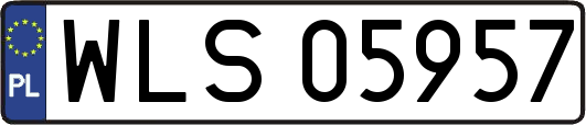 WLS05957