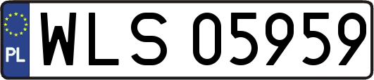 WLS05959