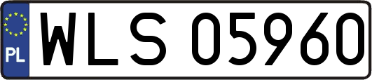 WLS05960