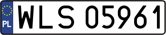 WLS05961