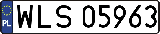 WLS05963