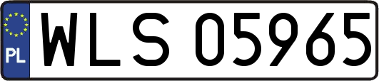 WLS05965