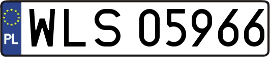 WLS05966