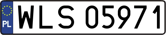 WLS05971