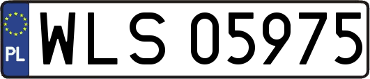 WLS05975