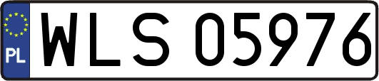 WLS05976