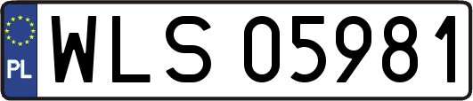 WLS05981