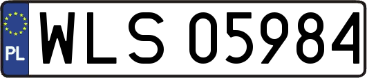 WLS05984