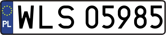 WLS05985