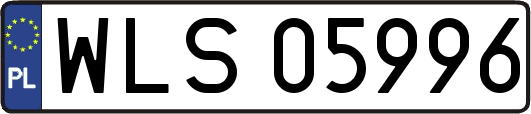 WLS05996