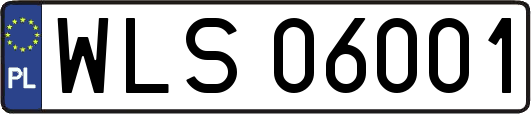 WLS06001