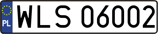 WLS06002