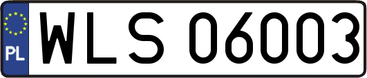 WLS06003