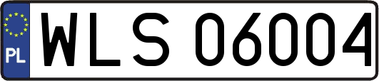 WLS06004