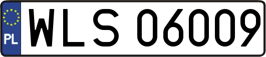 WLS06009