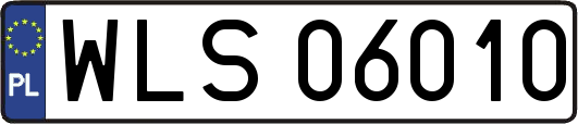 WLS06010