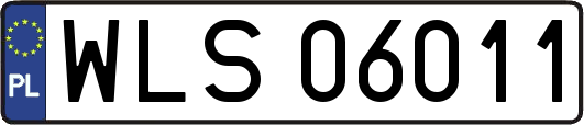 WLS06011