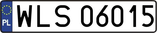 WLS06015