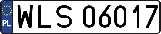 WLS06017