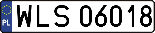 WLS06018