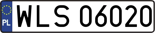 WLS06020