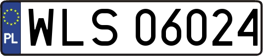 WLS06024