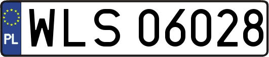 WLS06028